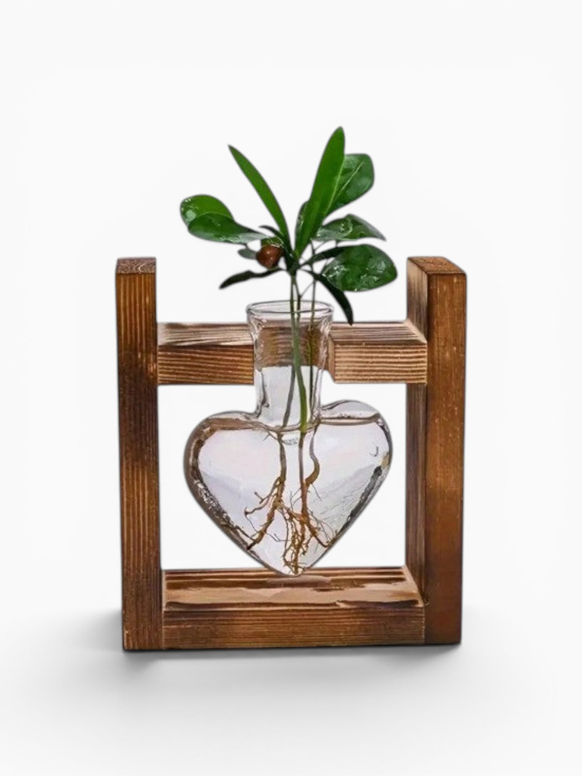 Vase Hydroponique Cœur En Bois et Verre