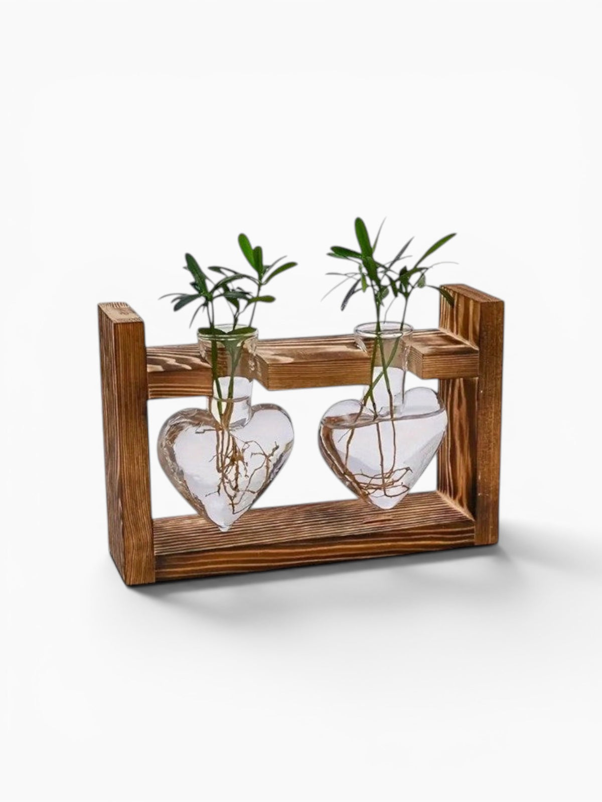 Vase Hydroponique Cœur En Bois et Verre