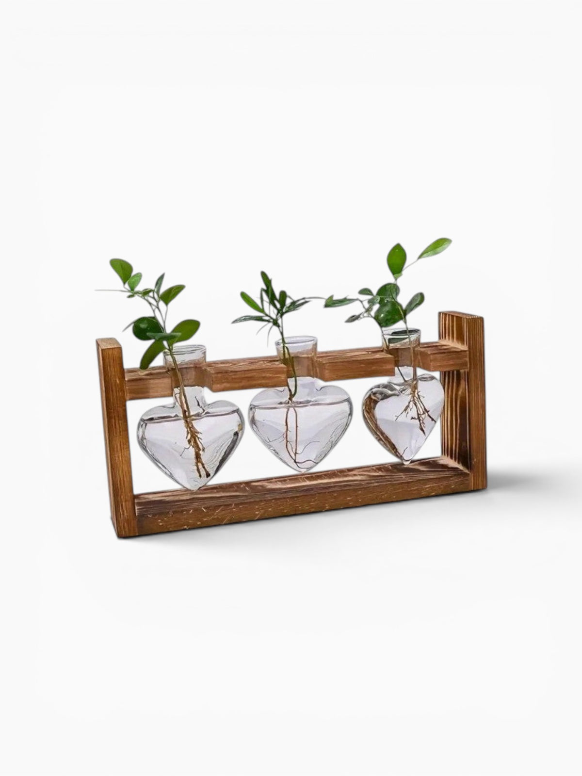 Vase Hydroponique Cœur En Bois et Verre